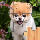 Dogs Puzzle - Kids & Adults-APK