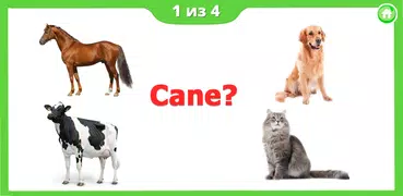 Carte di animali per bambini