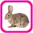 Учим животные для малышей APK