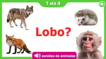 Animales Juegos de cartas niño Poster
