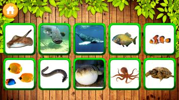 Animales Juegos de cartas niño captura de pantalla 3