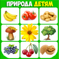 Фрукты и овощи, ягоды. Учим слова для малышей