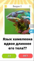 Да или Нет - Вопрос ответ 2024 تصوير الشاشة 3