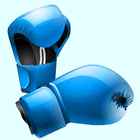 PunchFit أيقونة