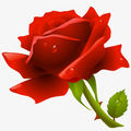 High quality Flowers photos 2021