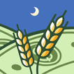 Wheat icon
