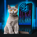 My Animated Pet: talking cat APK