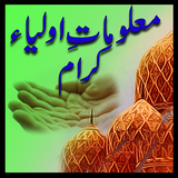 Maloomat E Aulia icon