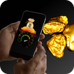 Gold Detector and Gold Finder