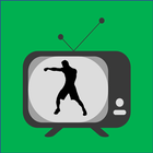 Icona TV Sports