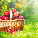 Apple Live Wallpaper APK