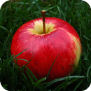 4k Apple Wallpaper APK