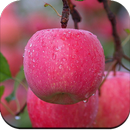 Apple Wallpaper 4K APK