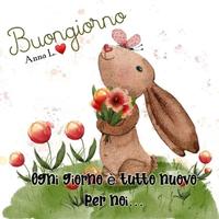 Buongiorno immagini gönderen