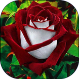 كيف تزيد من قوة تحملك