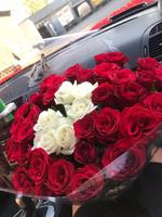 Beautiful flowers pictures 海报