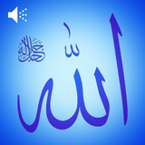 99 names of allah : AsmaUlHusn icône