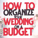 How to organize your wedding APK