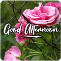 ”HAPPY SUNSET & GOOD AFTERNOON