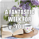 A FANTASTIC WEEK FOR YOU APK