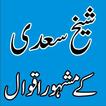 Hikayat e Saadi Stories in Urdu