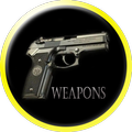 Shooting Sounds and Firearms