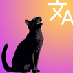 Katze-Mensch-Übersetzer