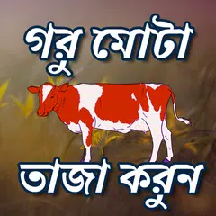 Descargar XAPK de গরু দ্রুত মোটা তাজা করণ