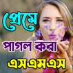 প্রেমে পাগল করার মত সকল এস,এম,