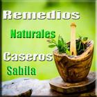 Remedios Caseros Naturales Pro ไอคอน