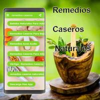 Remedios Caseros Naturales Pro โปสเตอร์