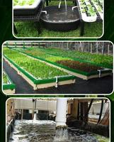 Aquaponic Pertanian Desain screenshot 2