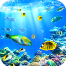 Aquarium Wallpaper HD APK