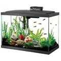 Aquarium design