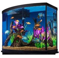 Aquarium design پوسٹر