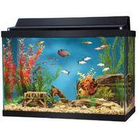 Aquarium design স্ক্রিনশট 1