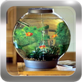 Aquarium Design Inspiration