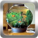 水族馆设计的启示 APK