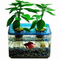 Aquarium Design Ideas poster