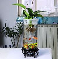 Aquarium Design Ideas Ekran Görüntüsü 1