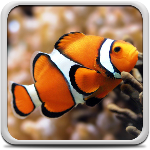 Aquarium Live Wallpaper