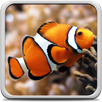 Aquarium Live Wallpaper APK