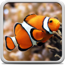 Hồ Cá Hình Nền Động APK