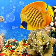 Aquarium Live Wallpaper APK download