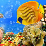 Aquarium Fond d'Écran Animé