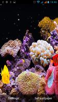 Aquarium Live Wallpaper স্ক্রিনশট 1