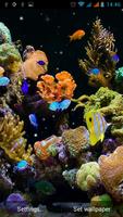 Aquarium Live Wallpaper স্ক্রিনশট 2