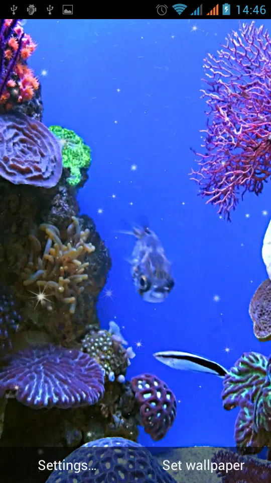 Android 用の 水族館ライブ壁紙 Apk をダウンロード