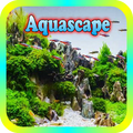 Making Aquascape