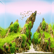 Aquascape